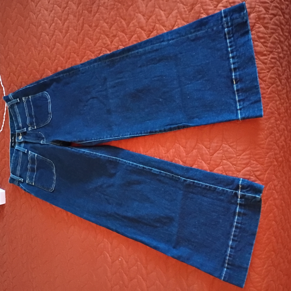 Blue Flare Wide Leg Jeans with Rich Deep Tone, Size 2